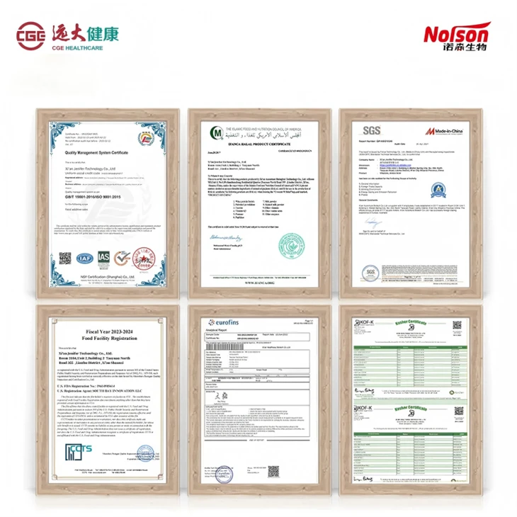 Lactobacillus Gasseri